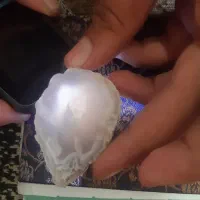 سنگ نگین و سنگ جاسپر