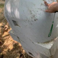 ممبه اب یا دیزل. یک تنی مخصوص ماشین