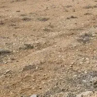 زمین ۳۰۰متری دانش ۳