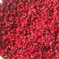 ادویه جات گنجینه ادویه مشهد