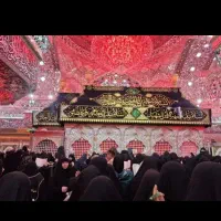 هر هفته بدون کنسلی