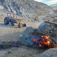 تراکتور 285 بیلی