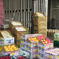 بار فروشی و حق العمل کاری میدان تره بار کرج