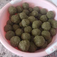 جاشیر وبیلهر فروشی هست خریدار واقعی زنگ بزن
