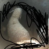 بره