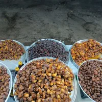 خریدار خرما