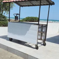 گاری کاسبی