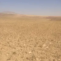 نیروی خانوم