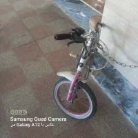 دوچرخه سایز ۱۶|دوچرخه، اسکیت، اسکوتر|شاهین‌شهر, فیض|دیوار