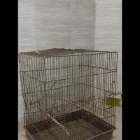 قفس پرنده