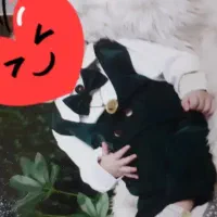 لباس بچه و کفش آدیداس