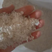 برنج پاکسنانی