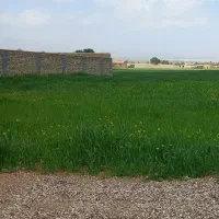 زمین تخت زیر دیوار دانشگاه علوم پزشکی