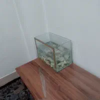 آ کواریوم همراه با ماهی ۶ عدد