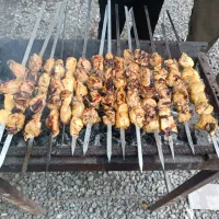 تور شاد شمال حرکت 15مردادلحظه اخری