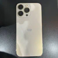 13pro