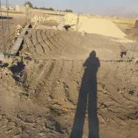 نیازمند بنا برای مسنی اجر سه گل