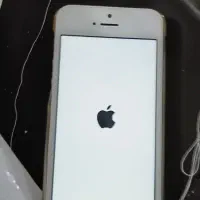 ایفون 5s|موبایل|اهر, |دیوار