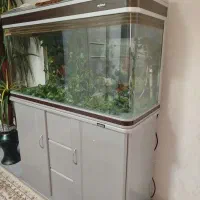 فروش آکواریوم خارجی