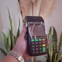 جشنواره کارتخوان سیار قرنی ۱۵