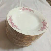 بشقاب خورشت خوری زرین و مرجان