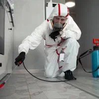 شرکت سم پاشی موریانه زدایی سمپاشی ساس سوسک مار موش