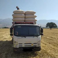 خرید و فروش کاه