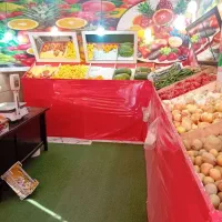 طبق با اینه با چمن با سیم کشی کامل با لامپ فروشی