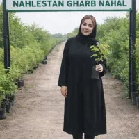 فروش نهال بادام صنوبر زیتون بلک بری بلوبری گلدانی