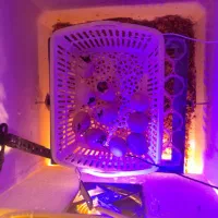 دستگاه جوجه کشی تمام اتومات ۴۲ دوتایی