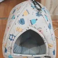 کلبه گربه