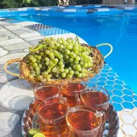 باغچه