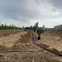 پلاک های 250 متری/داخل بافت/دارای نامه بنیاد مسکن