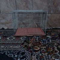 قفس