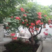 تهاتر-با-ویلایی-فاز-3-اندیشه
