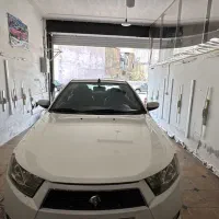 دنا معمولی تیپ ۲