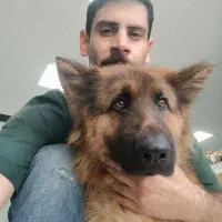 دامپزشک در محل