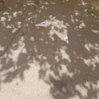 کبوتر|پرنده|رباط‌کریم, شهرک صنعتی پرند|دیوار