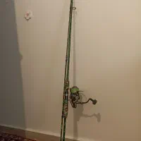 لنسر ماهیگیری