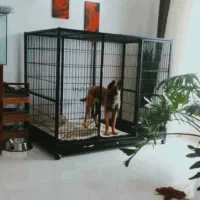 قفس سگ.باکــس فـلزی سگ،گارانتی۲ســاله رنگ