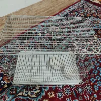 قفس پرنده