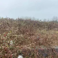 متراژ-440متر-با-پروانه-ساخت-بر-خیابان