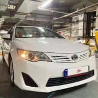 کمری در حد صفر تک برگ استثنایی ۳۹ تا کار بی نقطه