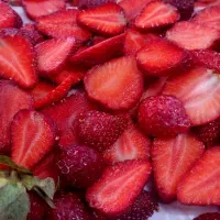 توت فرنگی خشک تازه