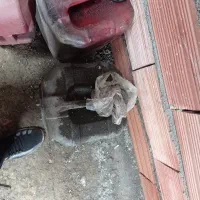 روغن سوخته بیست لیتری زیر قیمت بازاذ