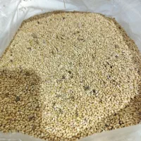 ارزان ریزبه حال خود درجه یک