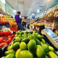 ۹۰ متر  تجاری جمالزاده شمالی کشاورز کد ۳۴۰