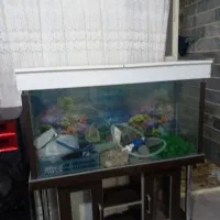 اکواریوم بزرگ سالم شیشه 10میل