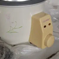 پلو پز و آرام پز