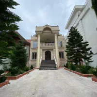 استخرجکوزی-تریبلکس-جنگلی-شیرینی